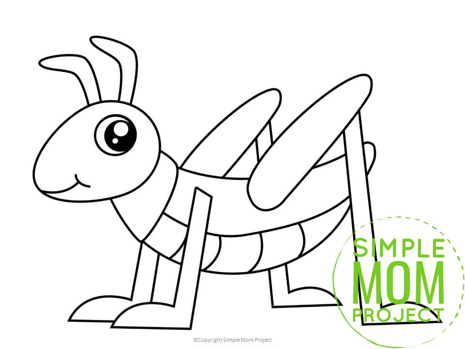 Printable Insect and Bug Templates for Preschoolers, Toddlers and Kindergartners