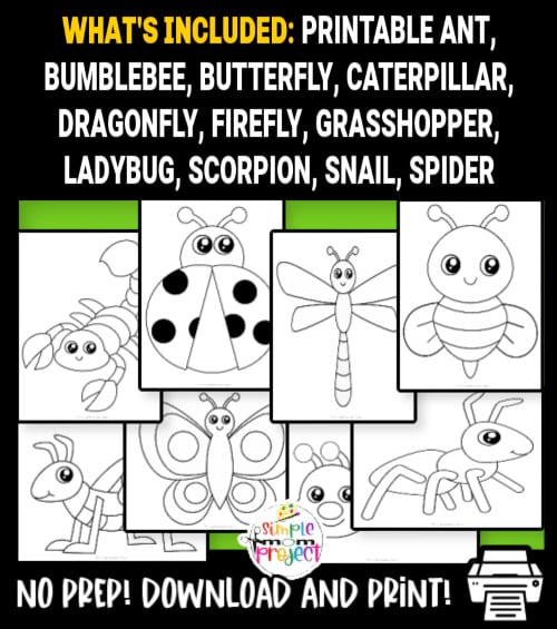 Are you looking for cute bug template printable cut out insects? These insect templates are great for any bug crafts! There's a bee, ladybug, grasshopper, spider and many more cute and simple insect templates! Click to download and print your set of insect templates today!