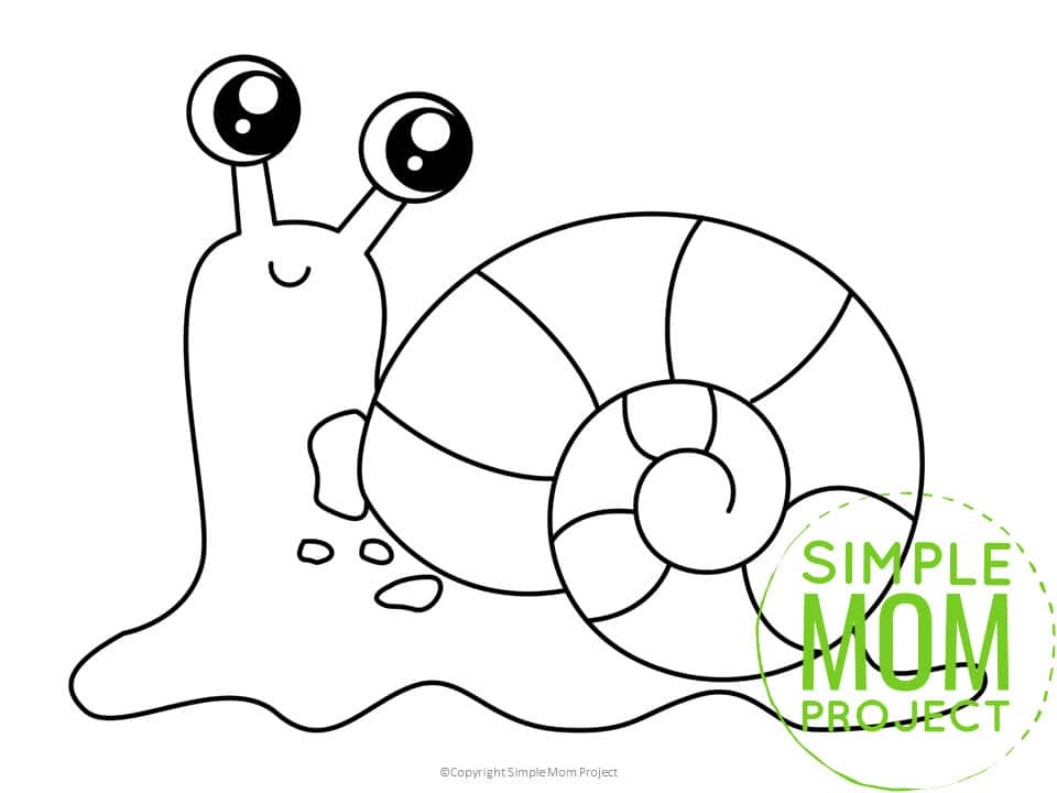 Printable Insect and Bug Templates for Preschoolers, Toddlers and Kindergartners