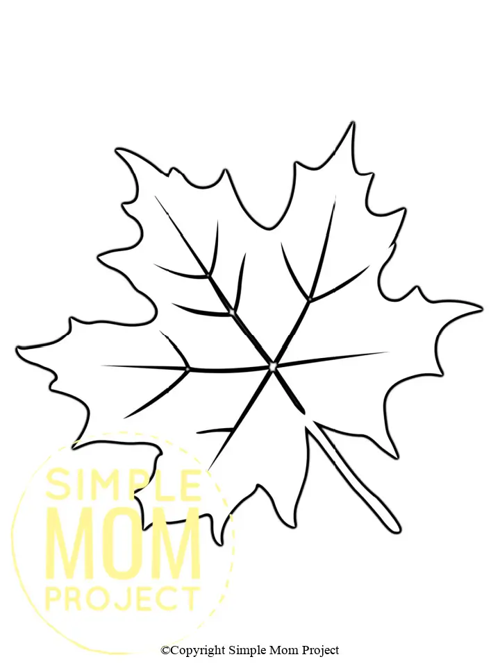 Are you looking for simple fall coloring pages for your preschool or kindergarten class? Grab these easy, printable fall Themed templates for autumn decor, fall crafts and elementary school teachers, students, preschoolers and toddlers. Use watercolors or practice your calligraphy with these simple fall templates. From rustic leaves to an autumn pumpkin you can turn them into a fun fall banner or autumn activity for your kids. Easily click and download your set of our fall and autumn templates today!