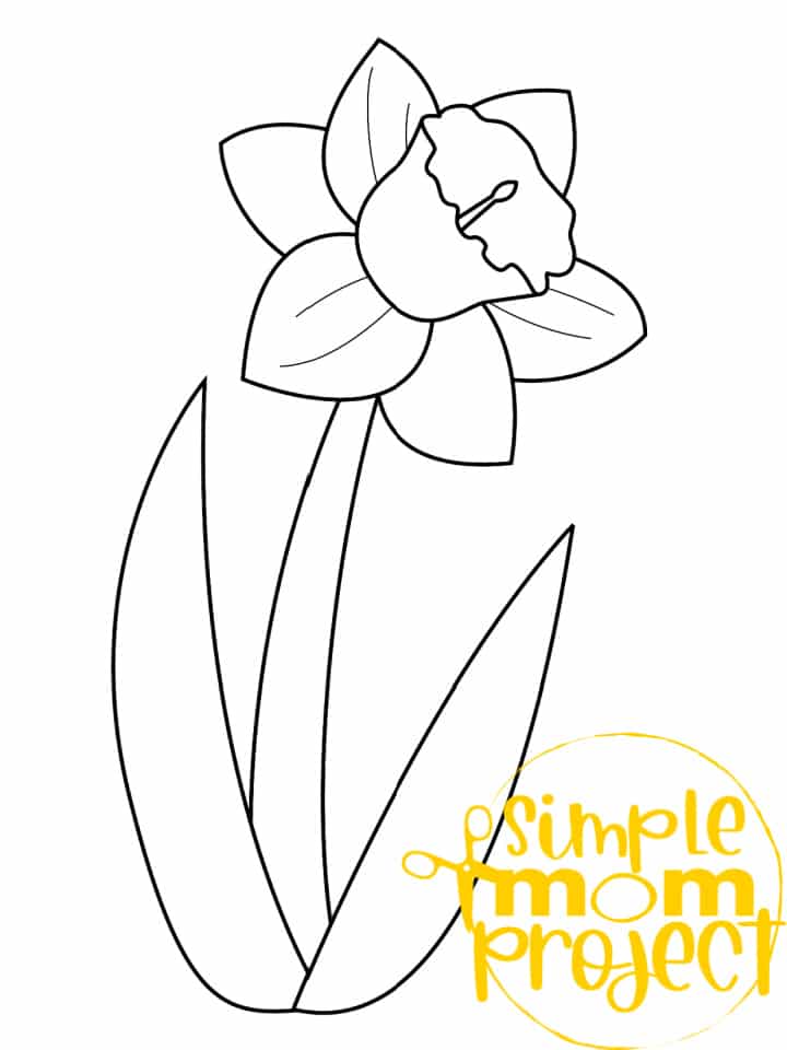 Printable Daffodil Template Spring Template Crafts for Kids, preschoolers, toddlers and spring craft projects