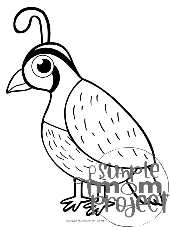 This printable letter Q craft bundle is a fun letter recognition activity for toddlers, preschoolers or kindergarteners to create when they are learning the letter /Q/ sound. Kids will love how easy to color, design and put together all these printable letter Q crafts. Make sure to purchase your own letter Q templates today!