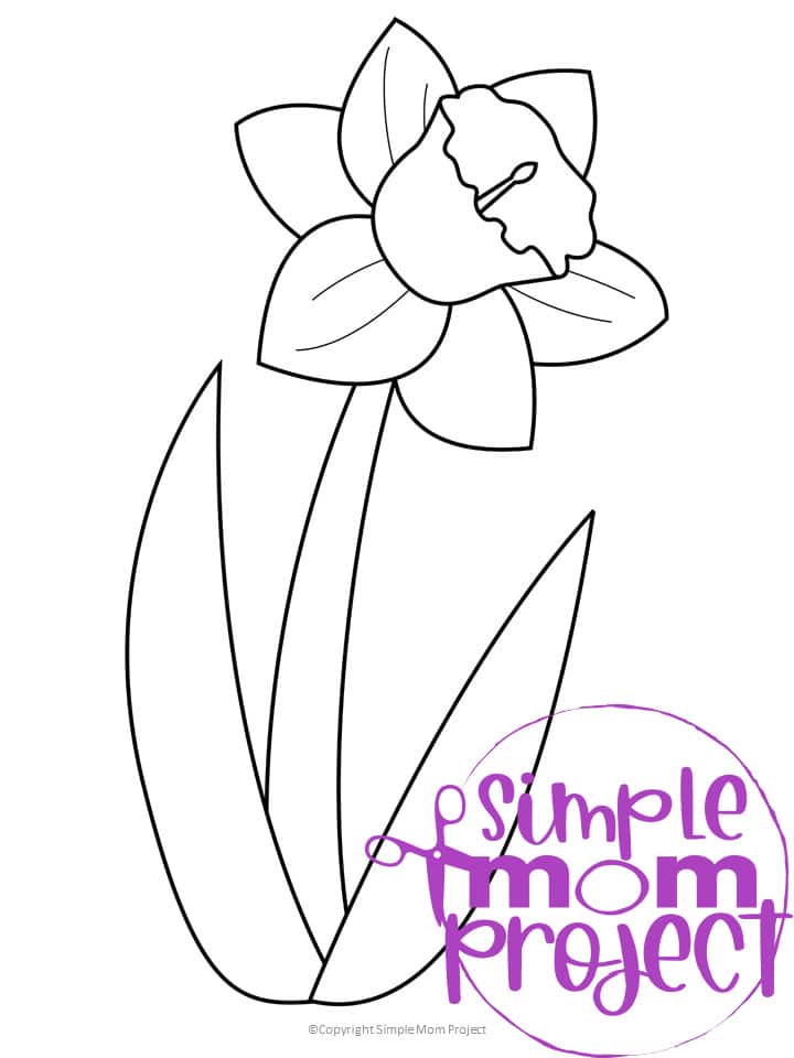 Printable Daffodil Flower Template for Kids, Preschooler, Kindergartner 1