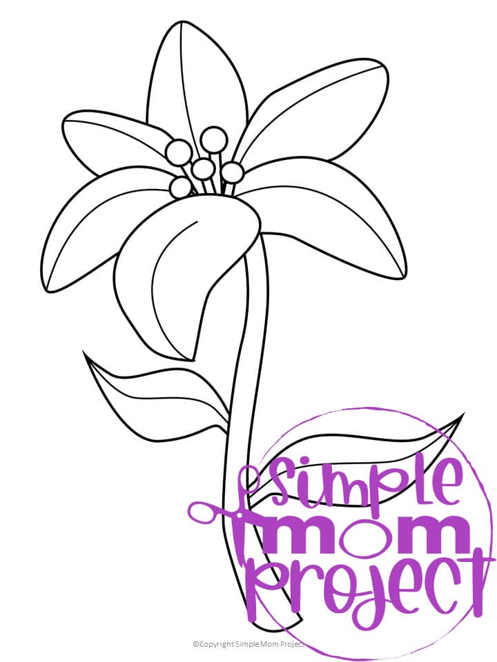 Printable Lily Flower Template for Kids, Preschooler, Kindergartner 1