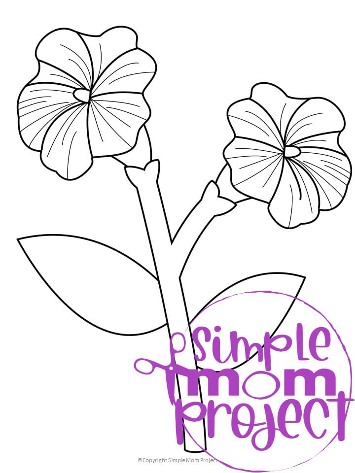 Printable Petunia Flower Template for Kids, Preschooler, Kindergartner 1